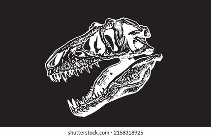 Graphical hand-drawn skull of tyrannosaurus isolated on black background,vector element, paleontology