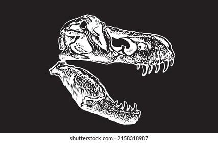 Graphical hand-drawn skull of tyrannosaurus isolated on black background,vector element, paleontology
