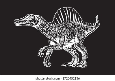 Graphical hand-drawn spinosaurus isolated on black background,vector engraved illustration,dinosaur