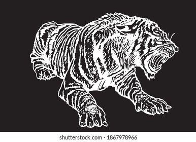 Graphical hand-drawn tiger isolated on black background, vector engraved illustration, wild animal