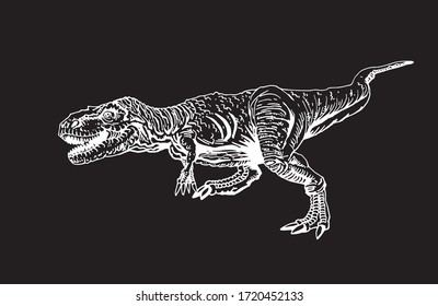 Graphical hand-drawn tyrannosaurus running isolated on black background,vector engraved illustration,dinosaur