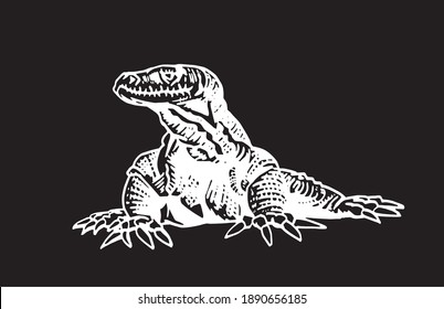 Graphical hand-drawn varan isolated on black background,vector illustration