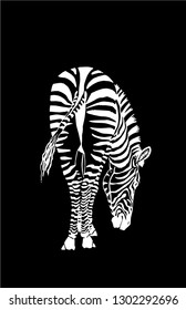 Graphical hand-drawn zebra isolated on black background,vector sketch ,tattoo,logo