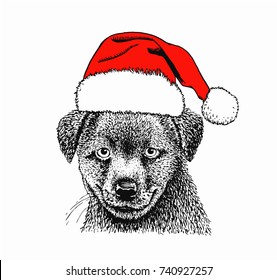 Graphical hand-painted portrait of puppy in Santa Claus hat isolated on white background,vector new year illustration