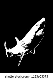 Graphical hand-painted shark isolated on black background,vector sketch ,tattoo and printing illustration
