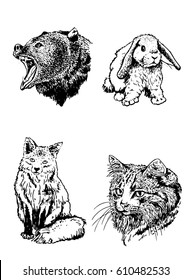 Graphical hand-painted vector set of animals isolated on white- angry bear, fox,cat,rabbit