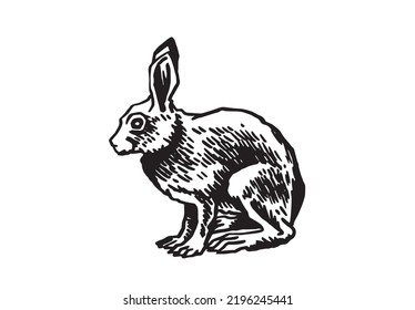 Graphical hare isolated on white background. Vector drawing of forest animal 