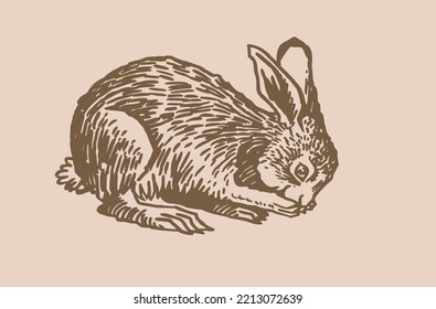 Graphical hare , sepia background. Vector drawing of forest animal