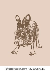 Graphical hare , sepia background. Vector drawing of forest animal