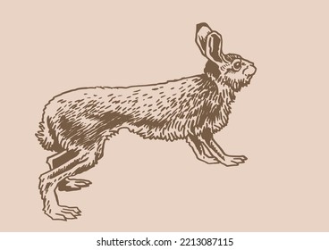 Graphical hare , sepia background. Vector drawing of forest animal