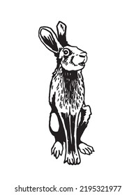 Graphical Hare Watching Right Sitting Vector Stock Vector (Royalty Free ...