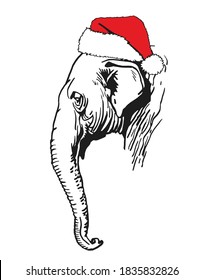 Graphical head of elephant in Santa Claus hat isolated on white background,vector new year illustration