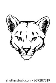 Graphical head of puma on white background,vector