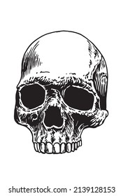Graphical head of skull isolated on white background, human skull
