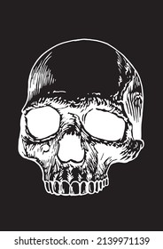 Graphical head of skull isolated on black background, human skull