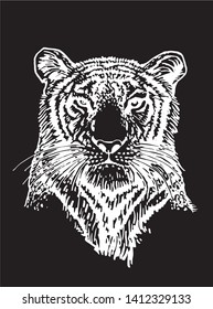 Graphical head of tiger isolated on black,vector engraved  illustration,tattoo