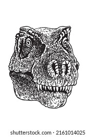 Graphical head of tyrannosaurus isolated on white background,vector dinosaur portrait 