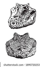 Cabezas gráficas de cocodrilos aislados en fondo blanco,ilustración vectorial