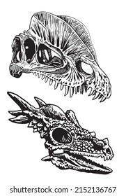 Graphical heads of dinosaurs isolated on white background,vector elements