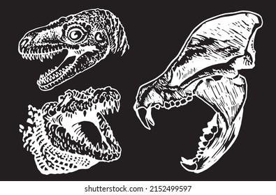 Graphical heads of dinosaurs isolated on black background,vector engraved elements