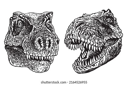 Graphical heads of tyrannosaurus isolated on white,vector illustration