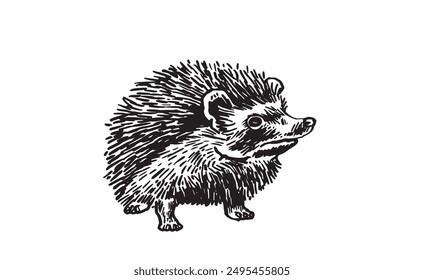 Graphical hedgehog isolated on white background,vector illustration, forest animal