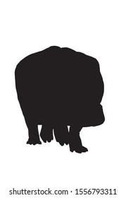 Graphical hippo silhouette isolated on white background, vector illustration