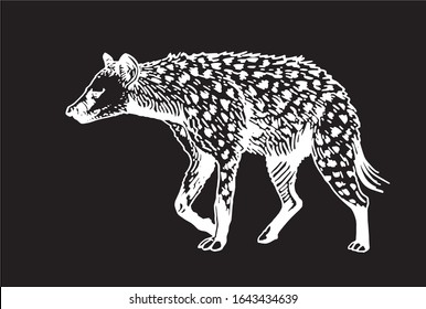 Graphical  hyena isolated on black background,vector engraved illustration