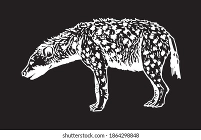 Hiena gráfica aislada en fondo negro, ilustración vectorial