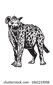 Graphical hyena isolated on white background, vector illustration