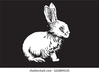 Graphical illustration of bunny isolated on black background, vector engraved illustration