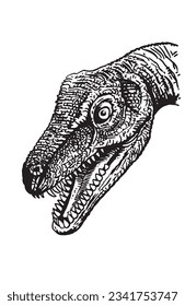Graphical illustration of diplodocus head  isolated on white background,vector illustration, dinosaur with long neck