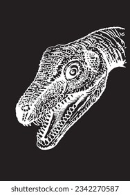 Graphical illustration of diplodocus head on black background,vector illustration, dinosaur with long neck