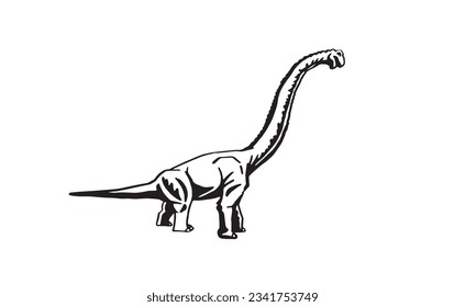 Graphical illustration of diplodocus isolated on white background,vector illustration, dinosaur with long neck