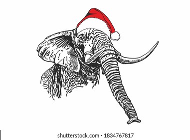 Graphical illustration of elephant in Santa Claus hat isolated on white, new year illustration