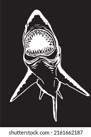 Graphical illustration of great white shark on black background,angry look. Aquatic hunter, killer. Vector illustration