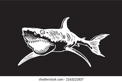 Graphical illustration of great white shark on black ,angry look. Aquatic hunter, killer. Vector illustration