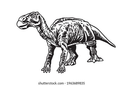 Graphical illustration of iguanodon isolated on white,phytophagous dinosaur