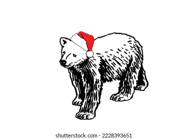 Graphical illustration of  polar bear in Santa Claus hat  isolated on white background,vector