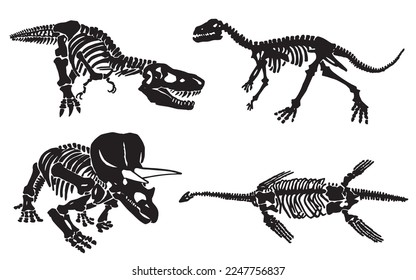 Graphical illustration, set of dinosaur skeletons isolated on white background,vector illustration