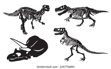 Graphical illustration, set of dinosaur skeletons isolated on white background,vector illustration