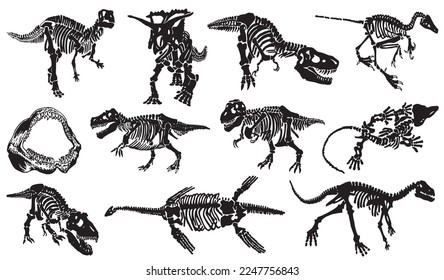 Graphical illustration, set of dinosaur skeletons isolated on white background,vector illustration