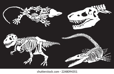 Graphical illustration, set of dinosaur skeletons isolated on black background,vector engraved illustration