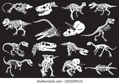 Graphical illustration, set of dinosaur skeletons isolated on black background,vector illustration