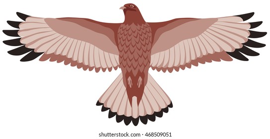 a graphical illustration of a soaring bird of a Falcon with spread wings