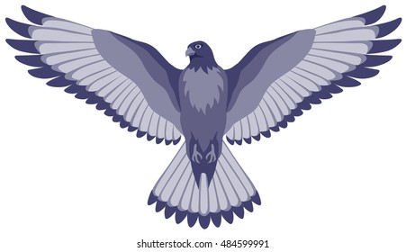 graphical illustration of a soaring bird of a Falcon with spread wings