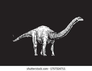 Graphical illustration, vector diplodocus isolated on black background,lizard