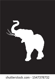 Graphical illustration, vector white silhouette of elephant isolated on black background