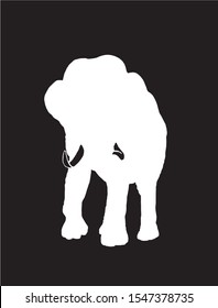 Graphical illustration, vector white silhouette of elephant isolated on black background