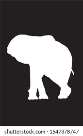 Graphical illustration, vector white silhouette of elephant isolated on black background